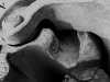 dsc1409f1